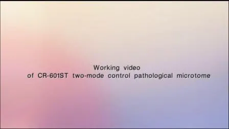 Rotary-Blade Sheeting Machine with Touch Screen Computer Interface Control Servo Hole Punching Inline for Banana Packing